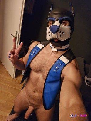 pupbuday photo #14 photo n 14