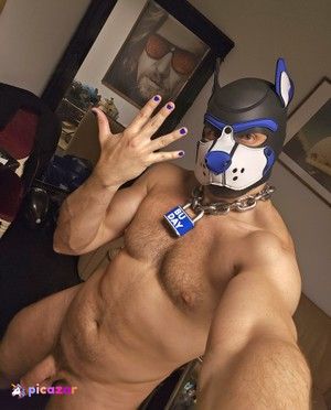 pupbuday photo #19 photo n 19