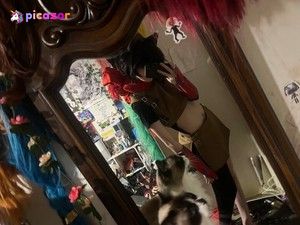 sniffmittens photo #22 photo n 22
