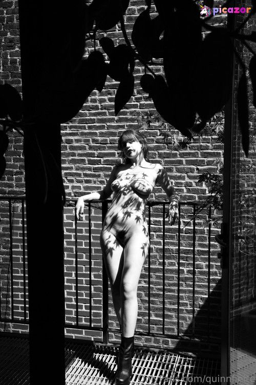 Quinn Finite - Image