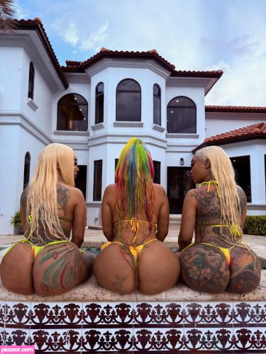 Double Dose Twins - Image