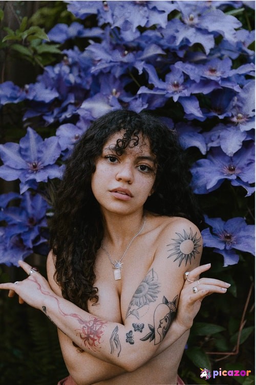 Spicymarii - Image