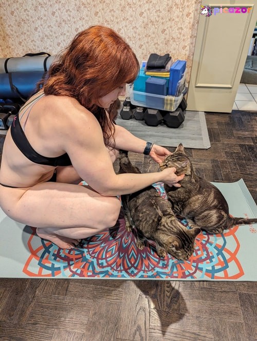kitty_bit_games - Image