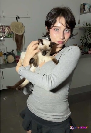 jasminbigl N1