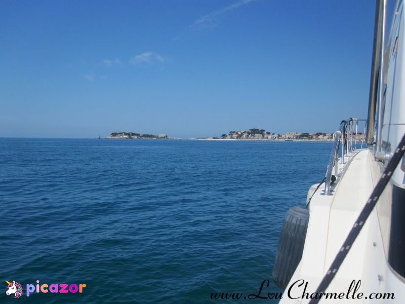 Lou N115