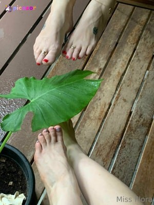 miss-flora-femdom-1 photo #332 photo n 332