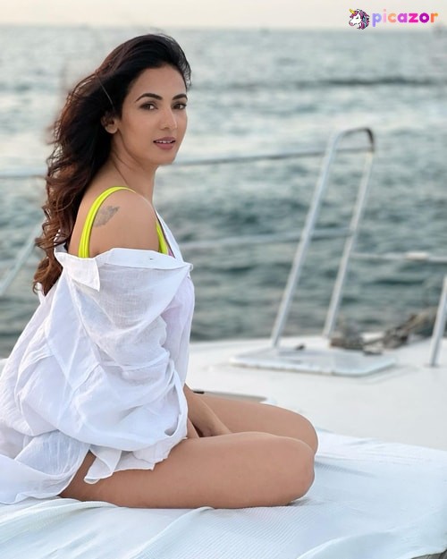 Sonal Chauhan - Image