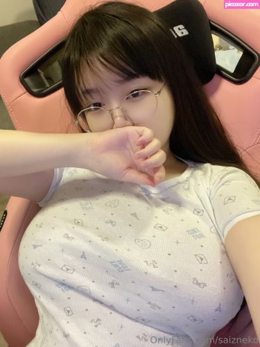 Saizneko - Image