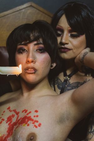 claws-n-cuddles photo #18 photo n 18