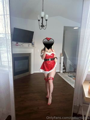 CottontailVA  N13
