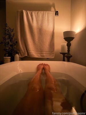 asmr-puffin-1 photo #156 photo n 156
