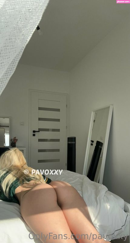 pavoxy N202