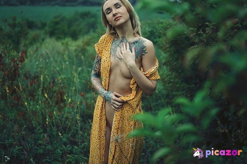 lisichkadevil - Image