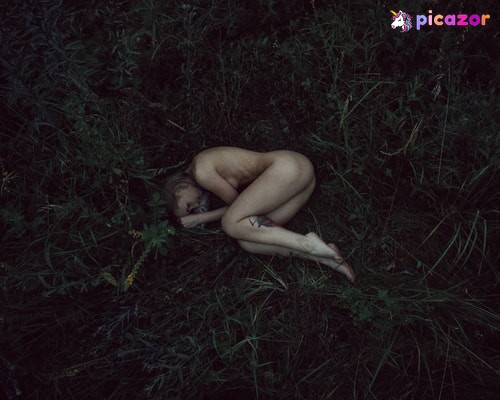 lisichkadevil - Image