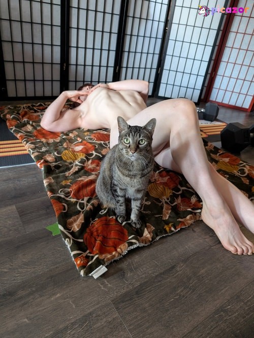 kitty_bit_games - Image