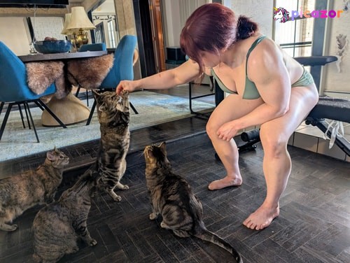 kitty_bit_games - Image