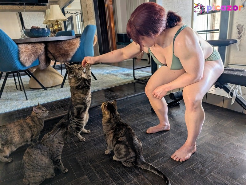kitty_bit_games N112