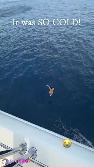 yesjulz video #436 photo n 436