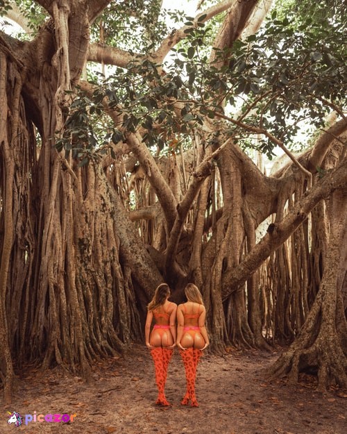 thenicolarinaldo - Image