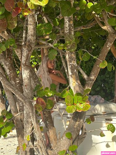 Sab Zada - Image