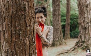 julha-suicide photo #2406 photo n 2406