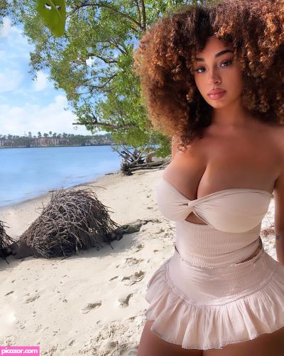 Dana Curly - Image