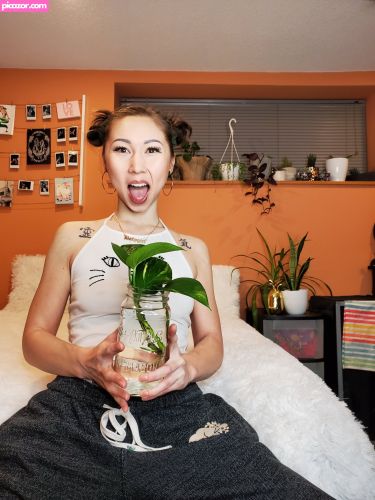Kimora Koi - Image