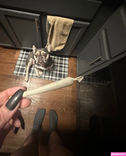 horrorwh0re  - Image