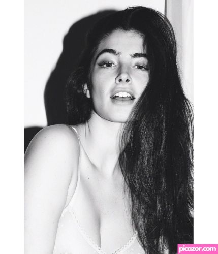 Lee Rokach - Image