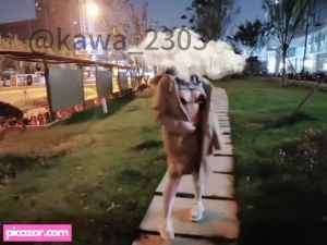 lora-zepam-1 video #63 photo n 63