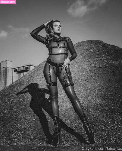 Latex Fox - Image