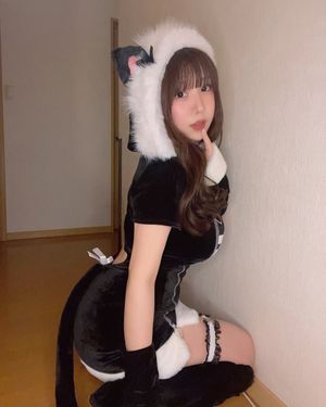 towa-rabbit-1 photo #19 photo n 19