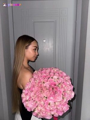 bambybelle N23
