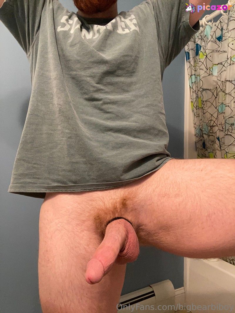 bigbearbiboy N9
