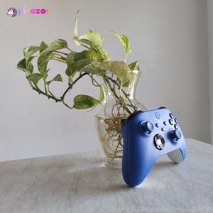 seductivesucculents photo #6 photo n 6