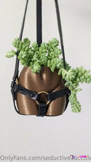 seductivesucculents photo #10 photo n 10