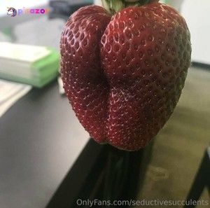 seductivesucculents photo #12 photo n 12