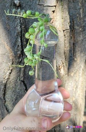 seductivesucculents photo #22 photo n 22