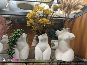 seductivesucculents photo #8 photo n 8