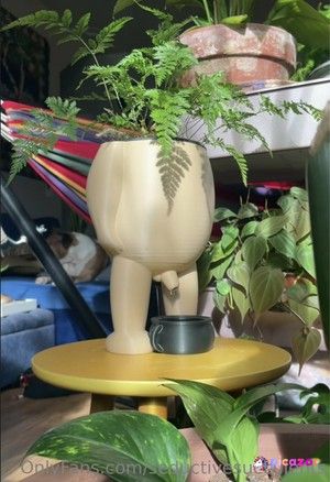 seductivesucculents photo #13 photo n 13
