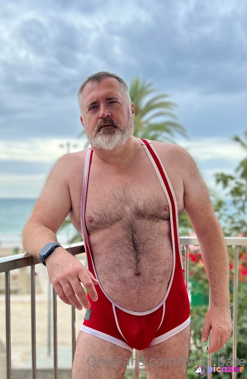 bear_bare N17