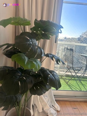 ieasybella N10