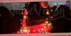 thiccvix3n photo #15 photo n 15
