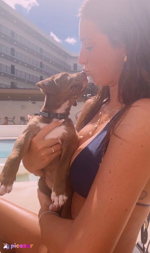 Hailey Koval - Image
