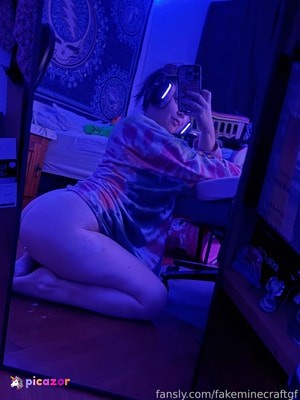 fakeminecraftgf N17