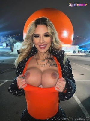 mllecassy N10