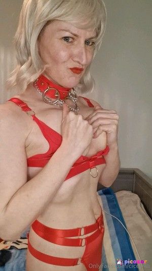 cicerina photo #95 photo n 95