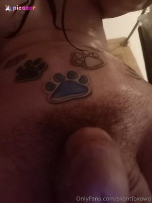 silentfoxowo N5