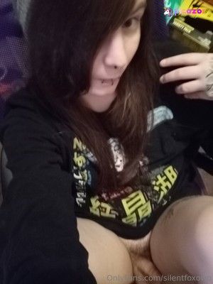 silentfoxowo N4