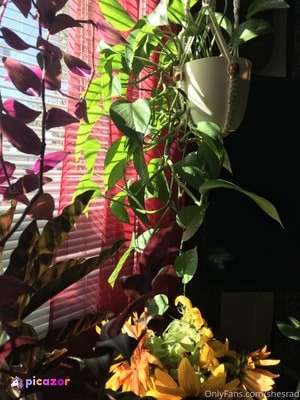 shesrad photo #14 photo n 14